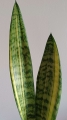 IMG20250531182938.jpg