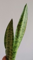 IMG20250531182951.jpg