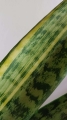 IMG20250531183011.jpg
