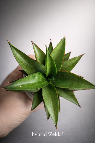 dc829e6c-0581-4e31-9a16-37f3a2caf306 (1).png