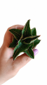 8963f130-d6f2-4fed-9b7e-98500f3f4721.png