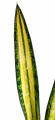 00b34401-06a4-439c-bf94-999843cd70c0.png