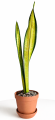 a050c7a1-d9e5-4581-9941-9557124dc198.png