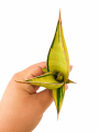 3cdba444-7eac-4605-a962-73f58f6e8e02.png