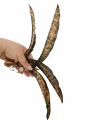 coppertonedwa.png
