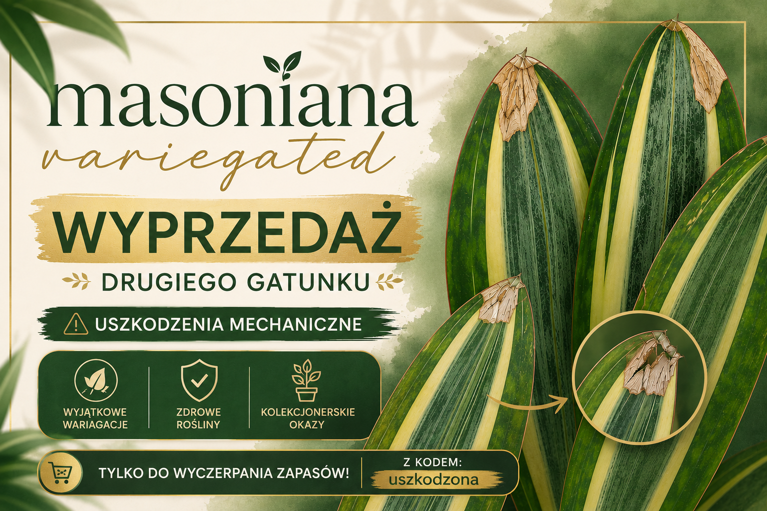 uszkodzona